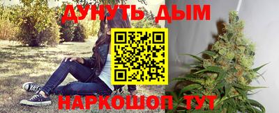 Альфа ПВП Славянск-на-Кубани
